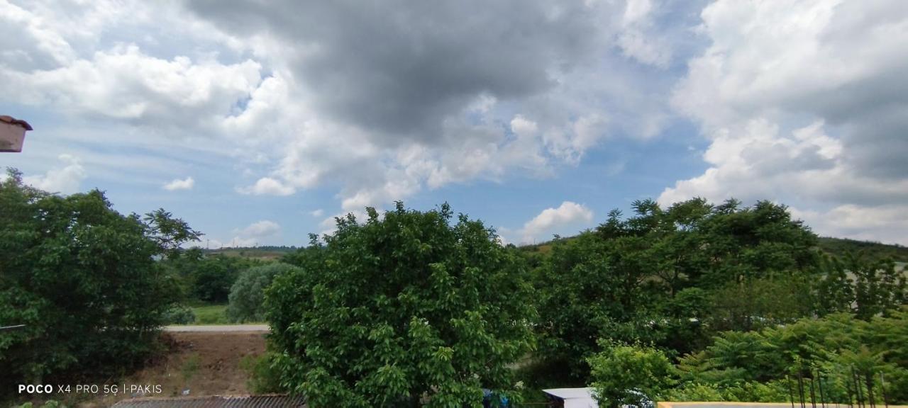 Δ1 Apartment Dhidhimotikhon Bagian luar foto